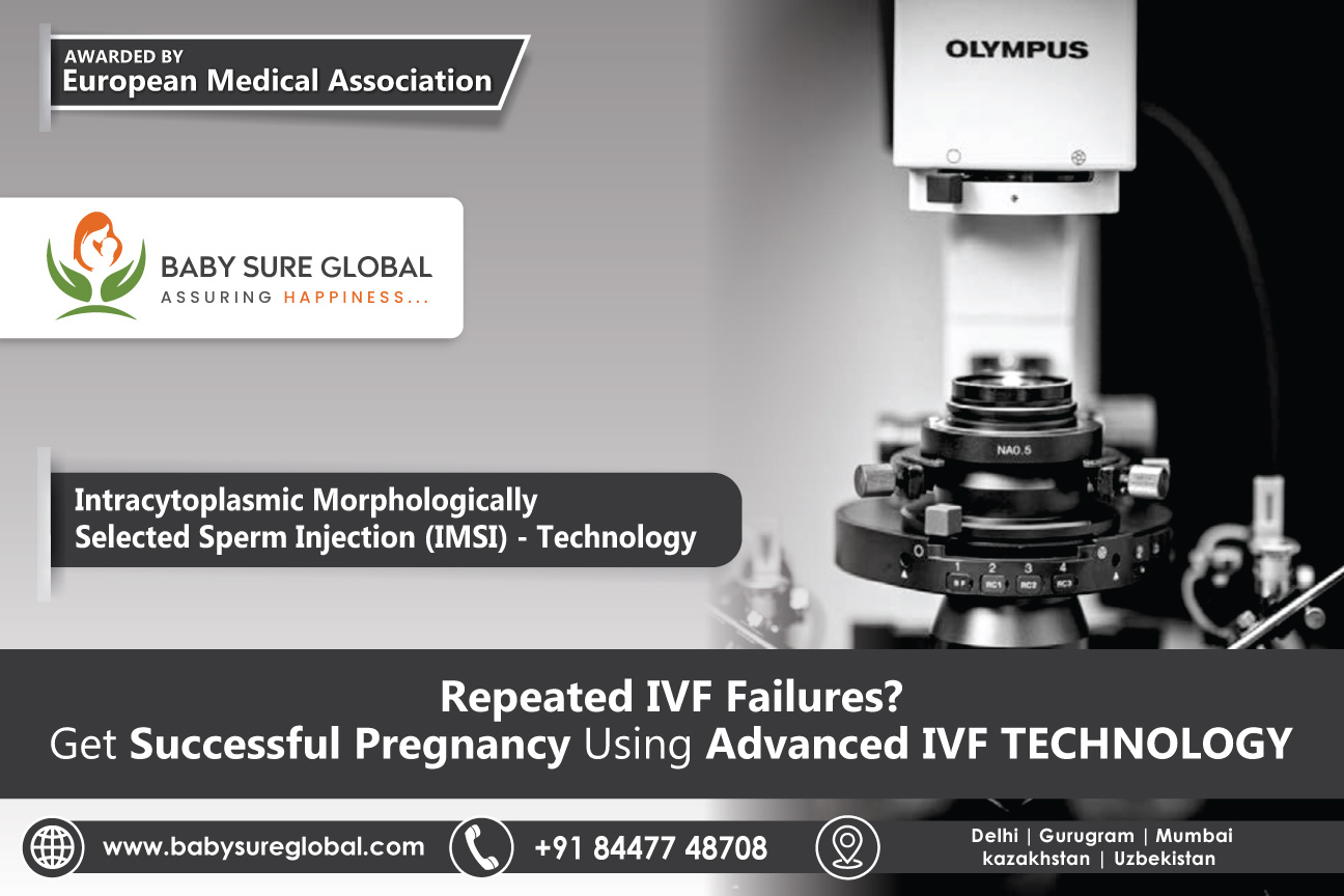 Intracytoplasmic Morphologically Selected Sperm Injection (IMSI)